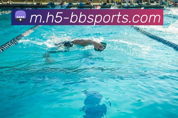 B体育APP 封面图